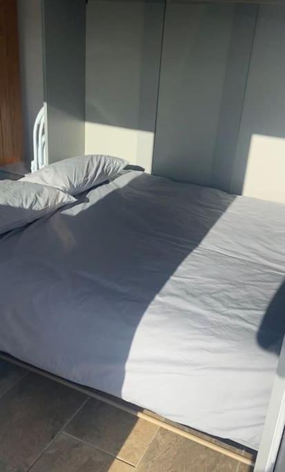 Adorable Bedsit For You, Partner And Your Pet! Stepaside  Екстер'єр фото